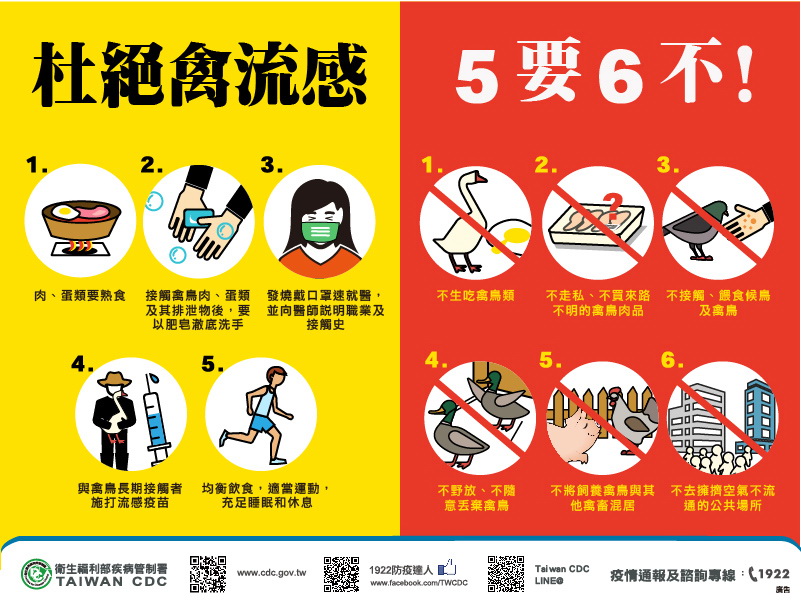 預防禽流感5要6不